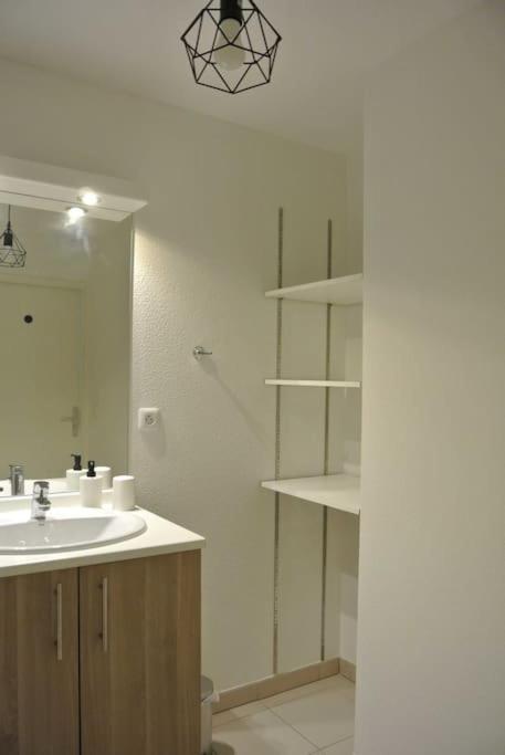 Spacieux T3 Balcon Parking Prive Тулуза Экстерьер фото